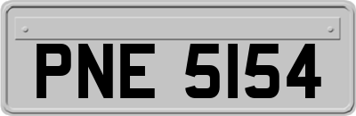 PNE5154
