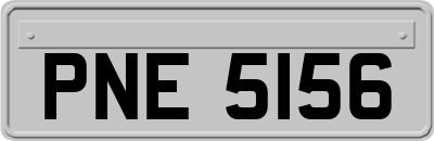 PNE5156