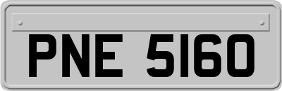 PNE5160