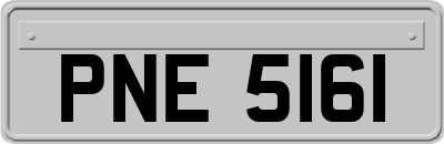 PNE5161