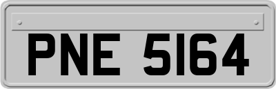 PNE5164