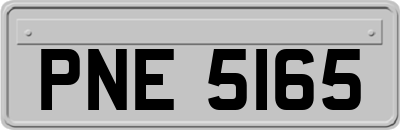 PNE5165