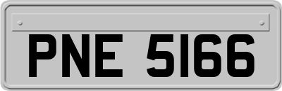 PNE5166