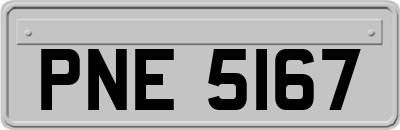 PNE5167
