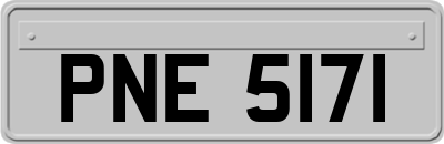 PNE5171