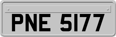 PNE5177