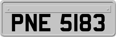 PNE5183