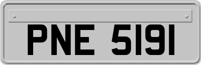 PNE5191