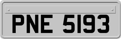 PNE5193