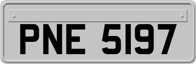 PNE5197