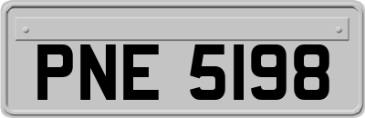 PNE5198