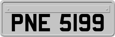 PNE5199