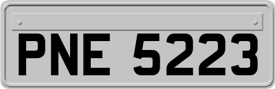 PNE5223