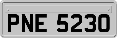 PNE5230