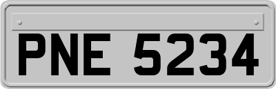PNE5234
