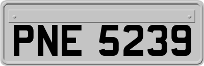 PNE5239
