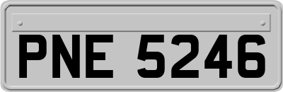 PNE5246