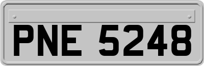PNE5248