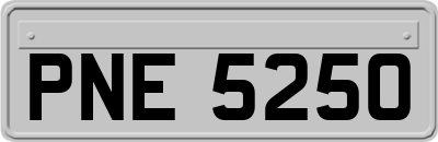PNE5250