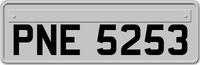 PNE5253