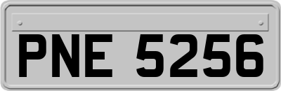 PNE5256