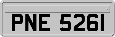 PNE5261