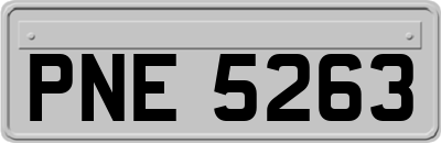 PNE5263