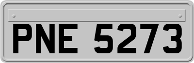 PNE5273