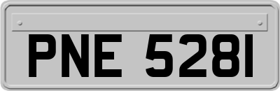 PNE5281