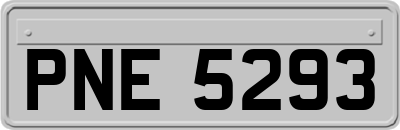 PNE5293