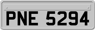 PNE5294