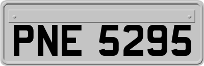 PNE5295
