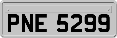 PNE5299