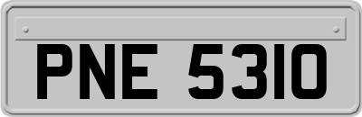 PNE5310