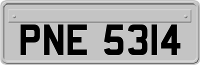 PNE5314