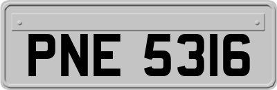 PNE5316