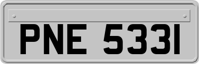 PNE5331
