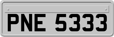 PNE5333