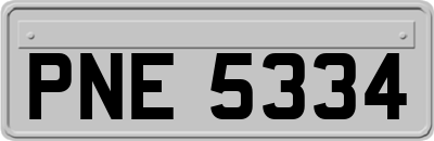 PNE5334