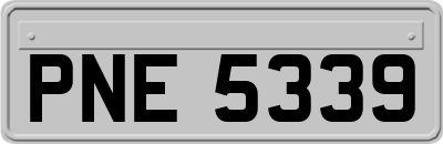 PNE5339