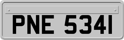 PNE5341
