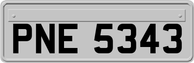 PNE5343