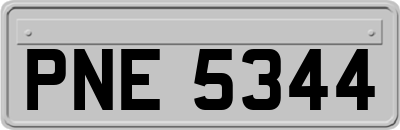 PNE5344