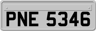 PNE5346