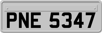 PNE5347