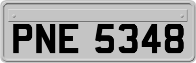 PNE5348