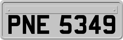 PNE5349