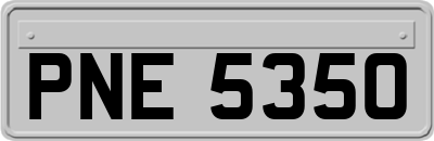 PNE5350