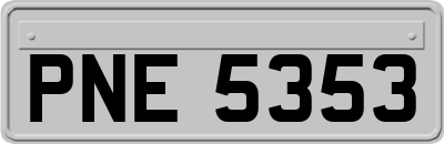 PNE5353