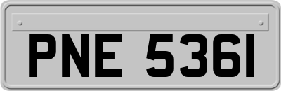 PNE5361